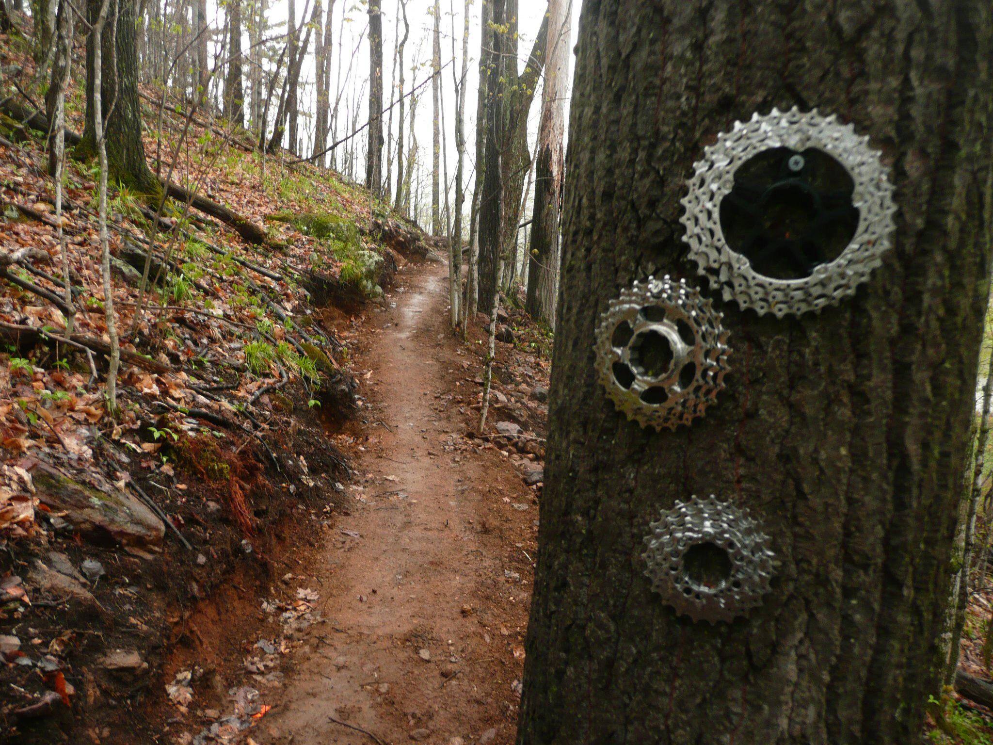 Trail Adoption Program